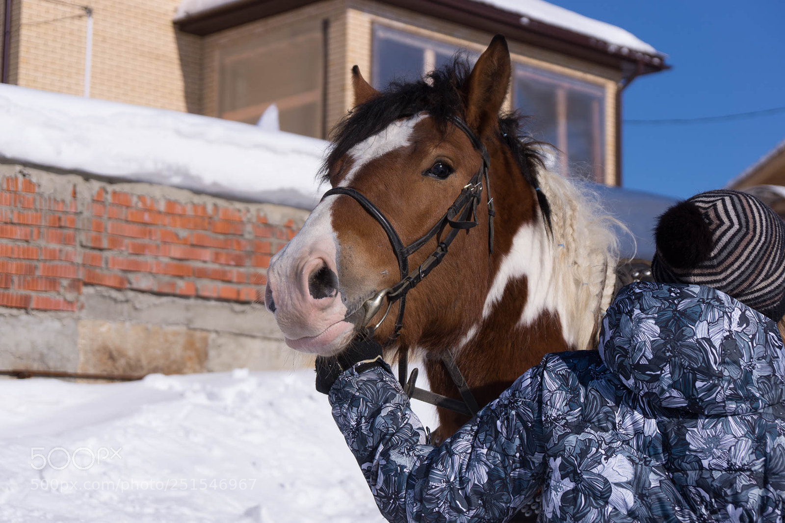 Sony Alpha NEX-7 sample photo. Spring riding photography