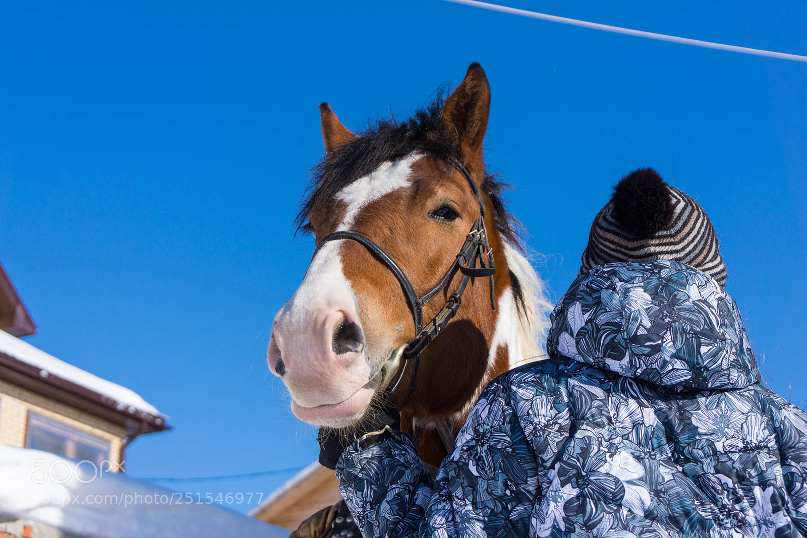 Sony Alpha NEX-7 sample photo. Spring riding photography