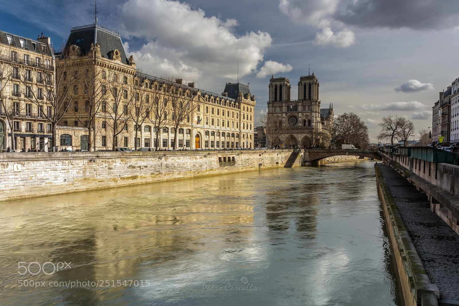 Canon EOS 5D Mark IV sample photo. Notre dame reflection photography