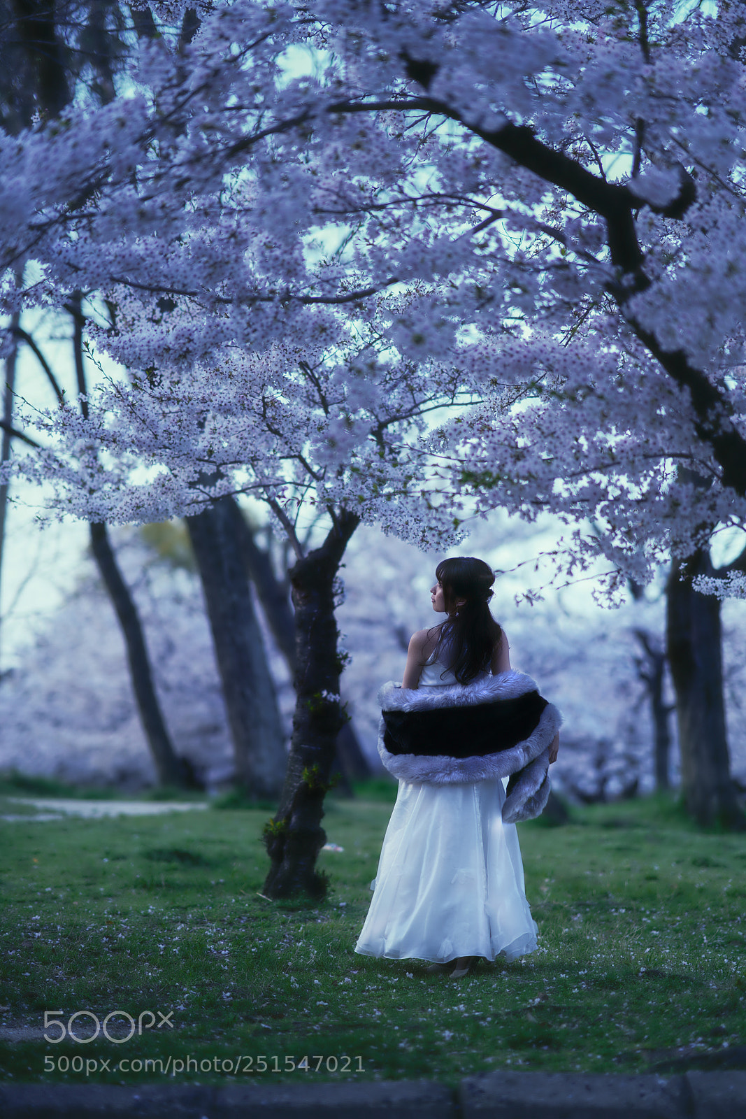 Sony a7R III sample photo. Portrait photography