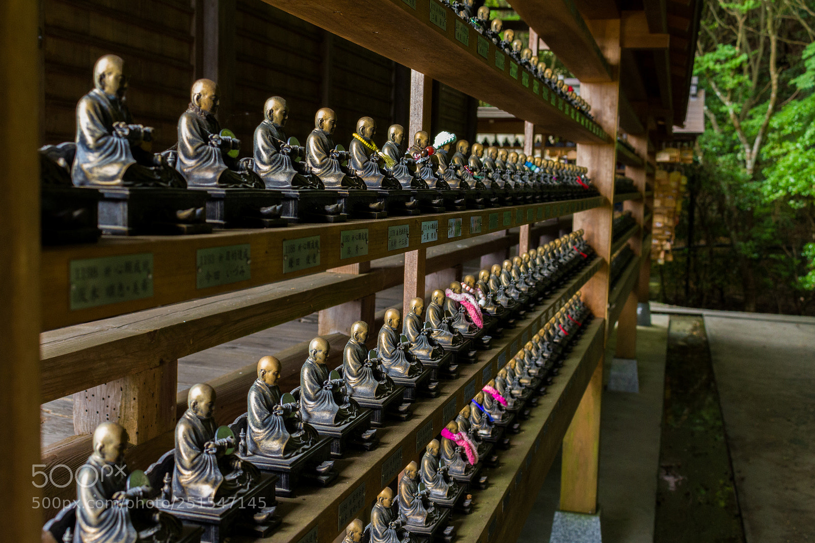Canon EOS 100D (EOS Rebel SL1 / EOS Kiss X7) sample photo. Infinite buddhas photography