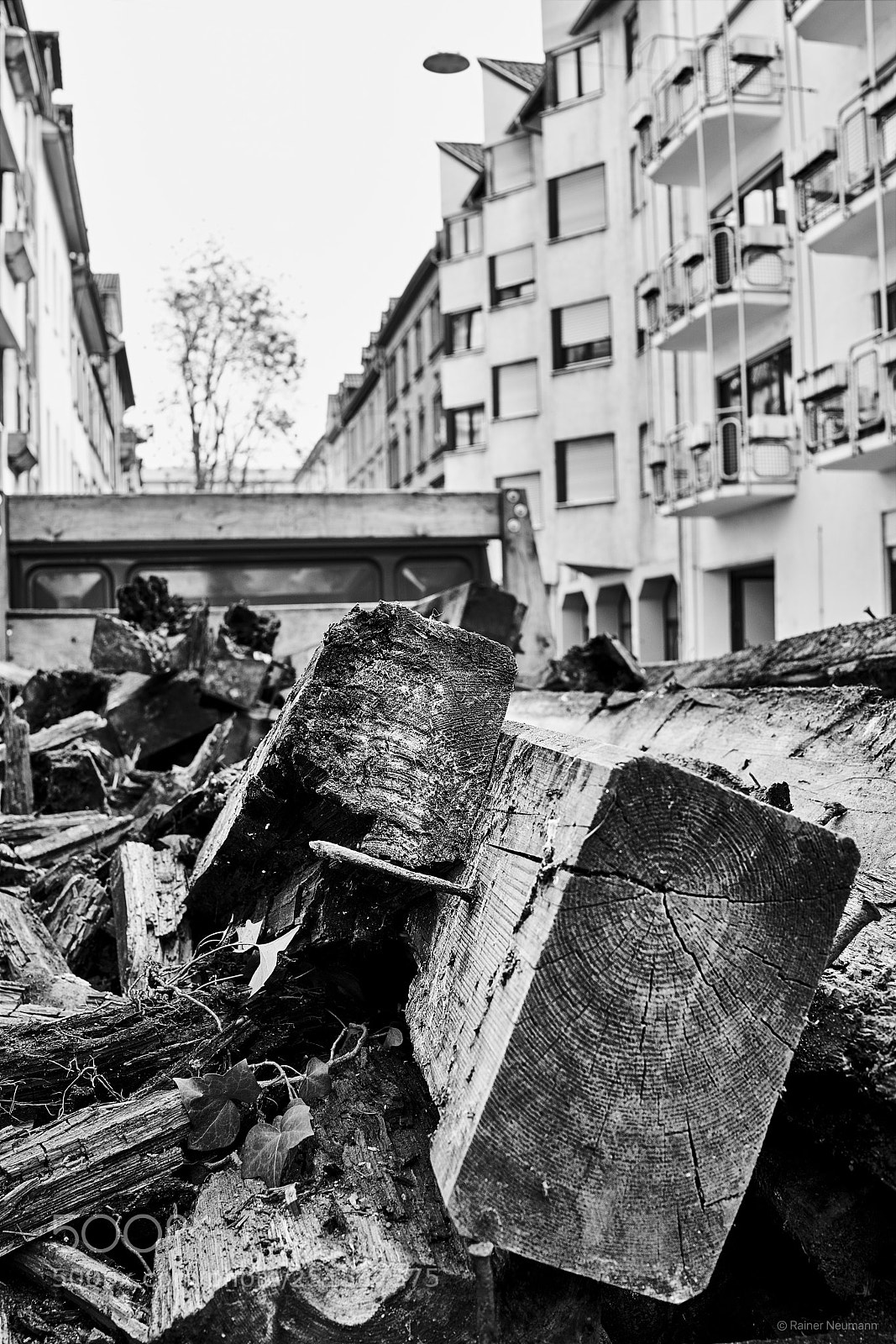 Sony Cyber-shot DSC-RX1R II sample photo. Holz b&w photography