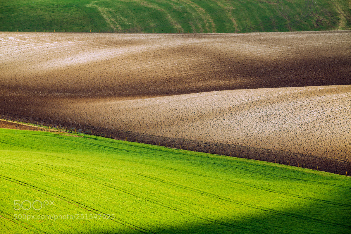 Canon EOS 5D Mark II sample photo. Salt of the earth photography