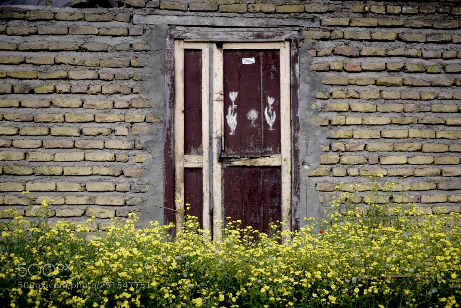 Nikon D5300 sample photo. Alone house... photography