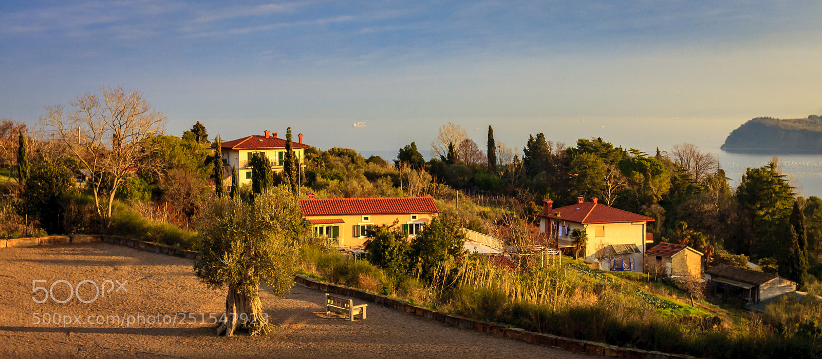 Canon EOS 40D sample photo. Morning light photography