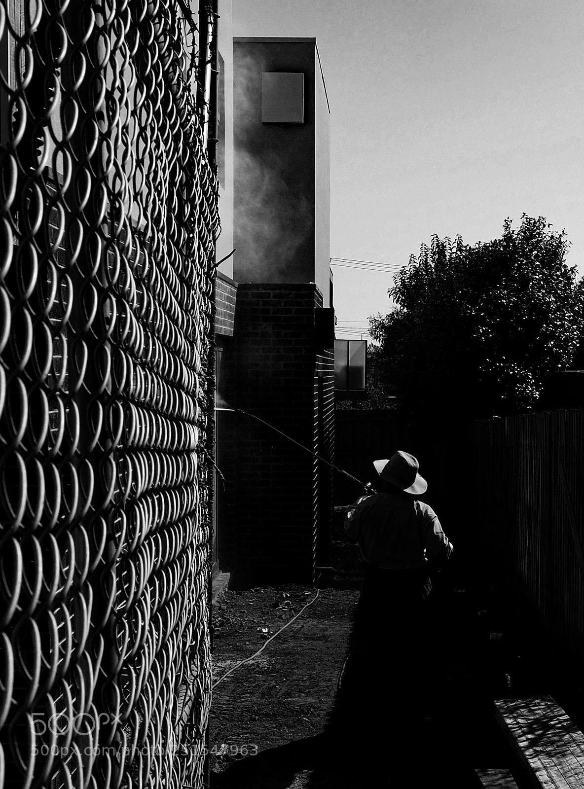 Olympus OM-D E-M5 II sample photo. Untitled photography