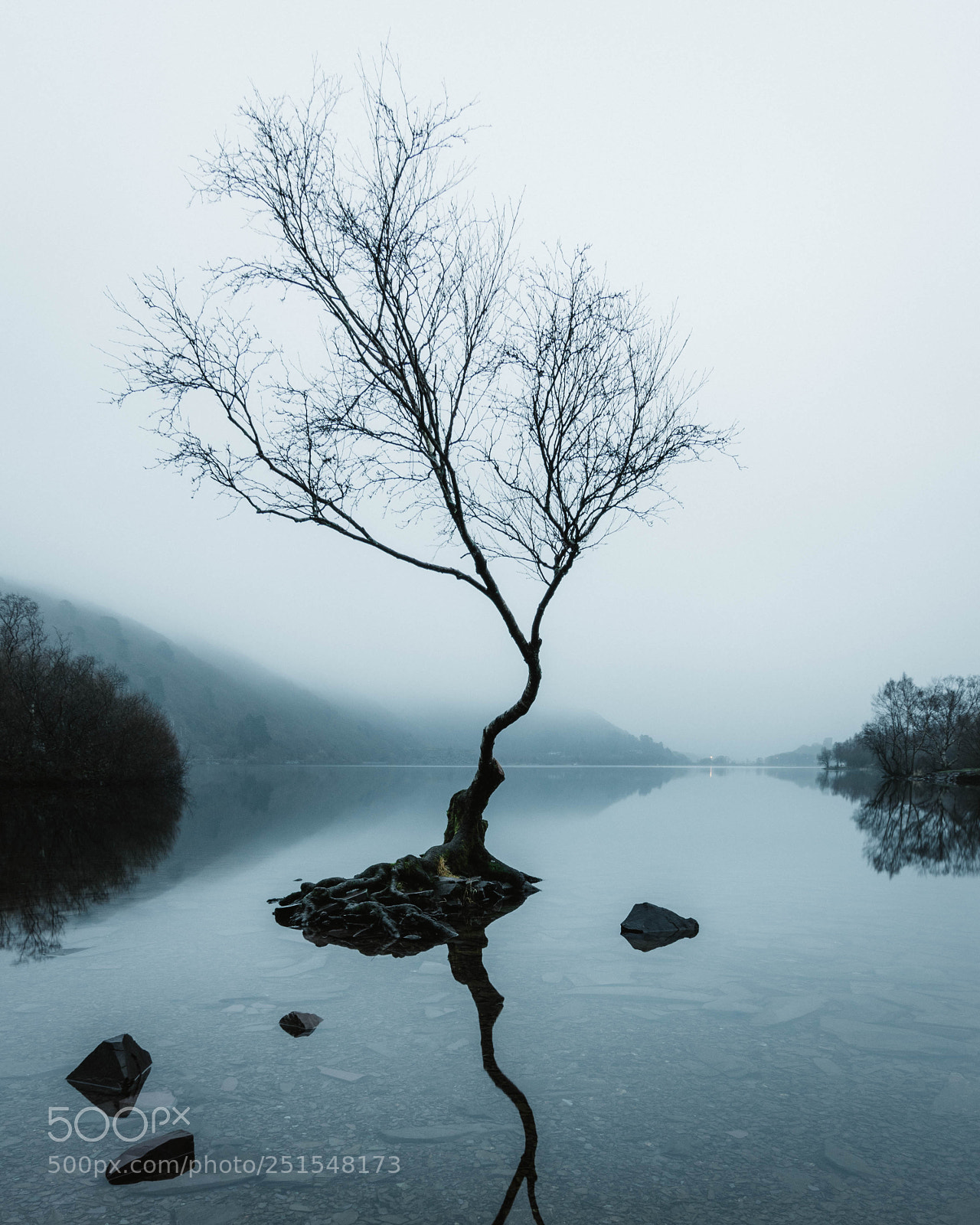 Nikon D7200 sample photo. Misty morning at the photography