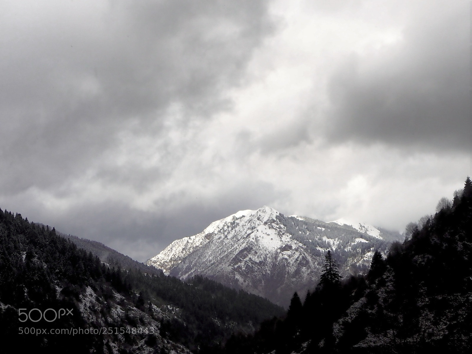 Olympus OM-D E-M10 II sample photo. Last breath of winter..... photography