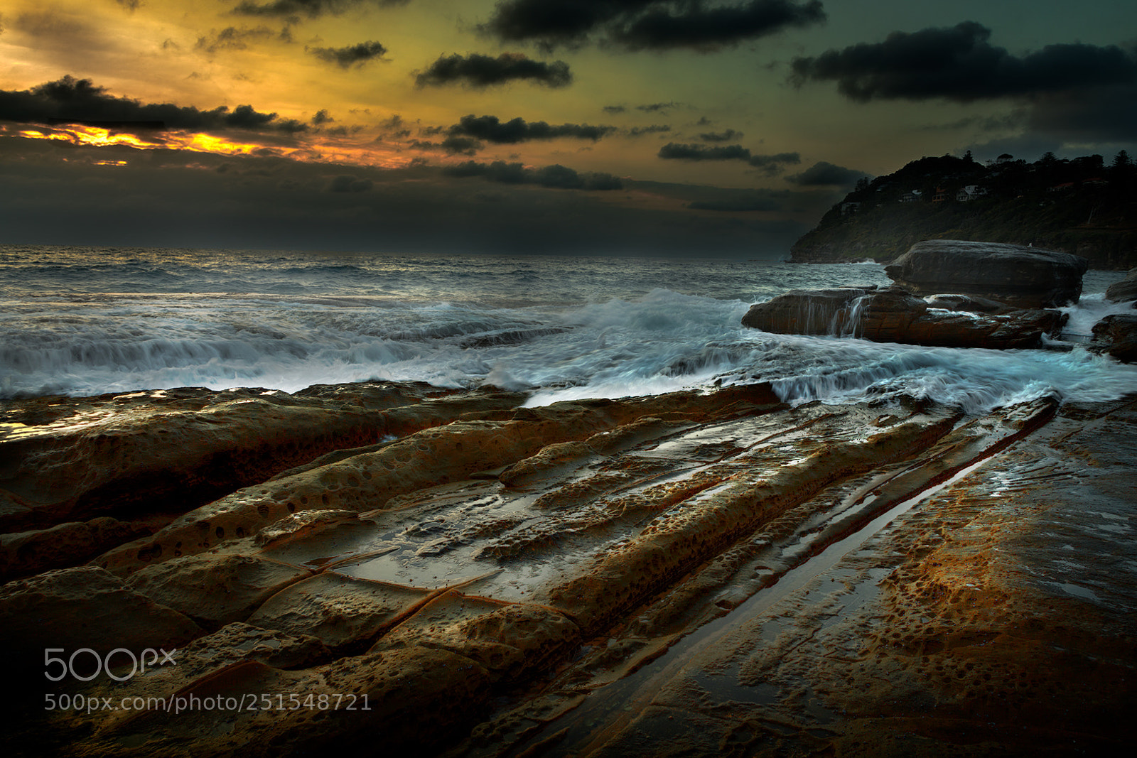 Canon EOS 5D Mark IV sample photo. Whale beach web l photography