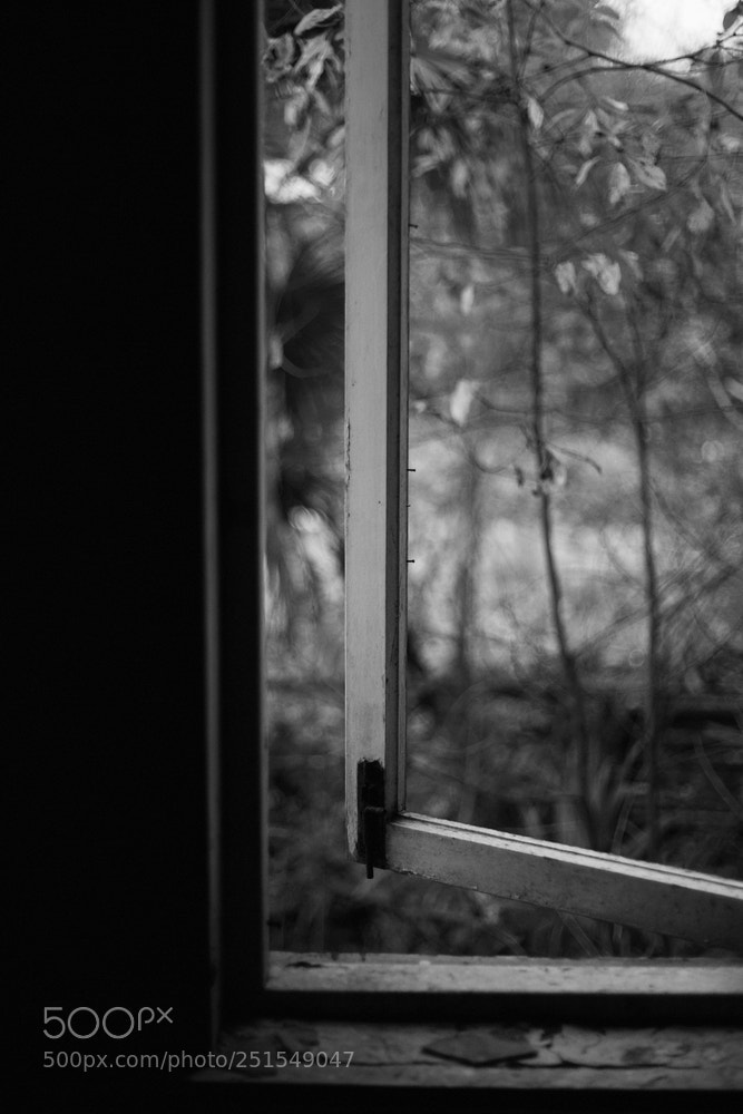 Canon EOS 5D Mark II sample photo. Window photography
