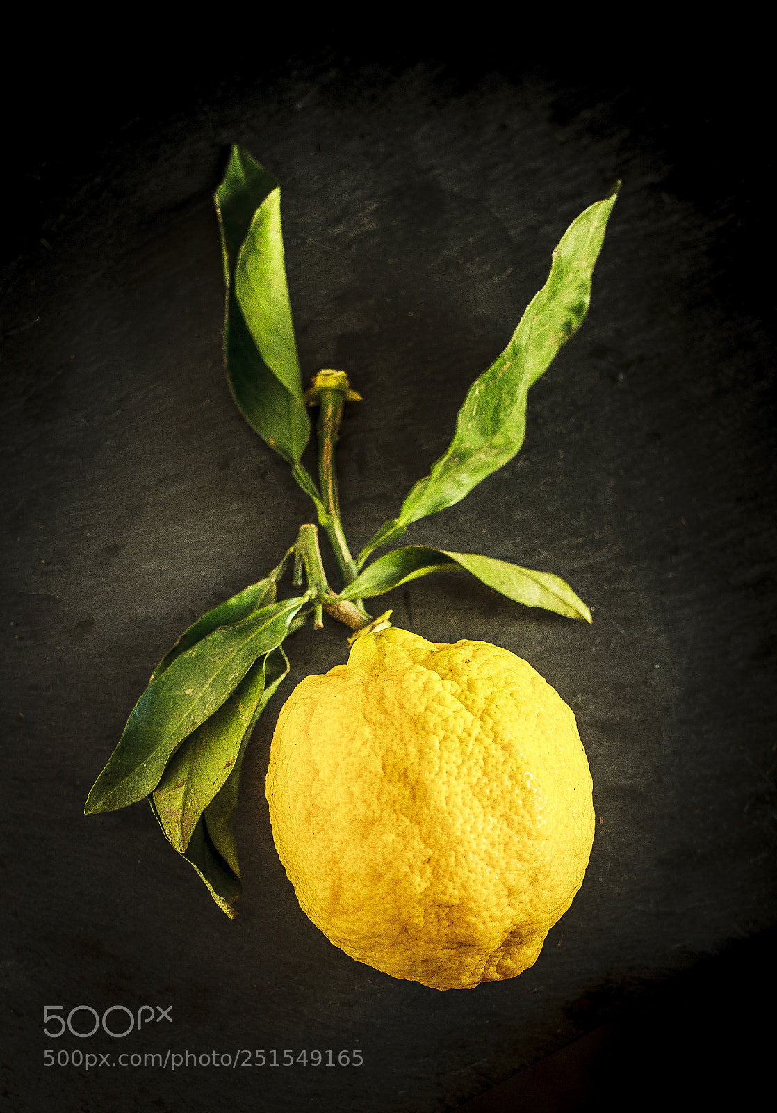 Canon EOS 7D sample photo. Old lemon photography