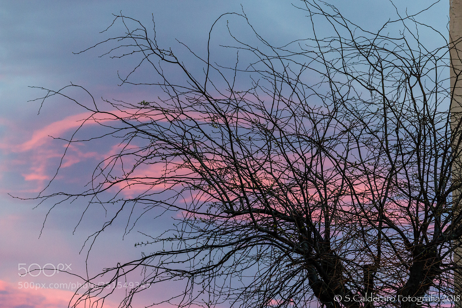 Canon EOS 70D sample photo. Sunset... photography