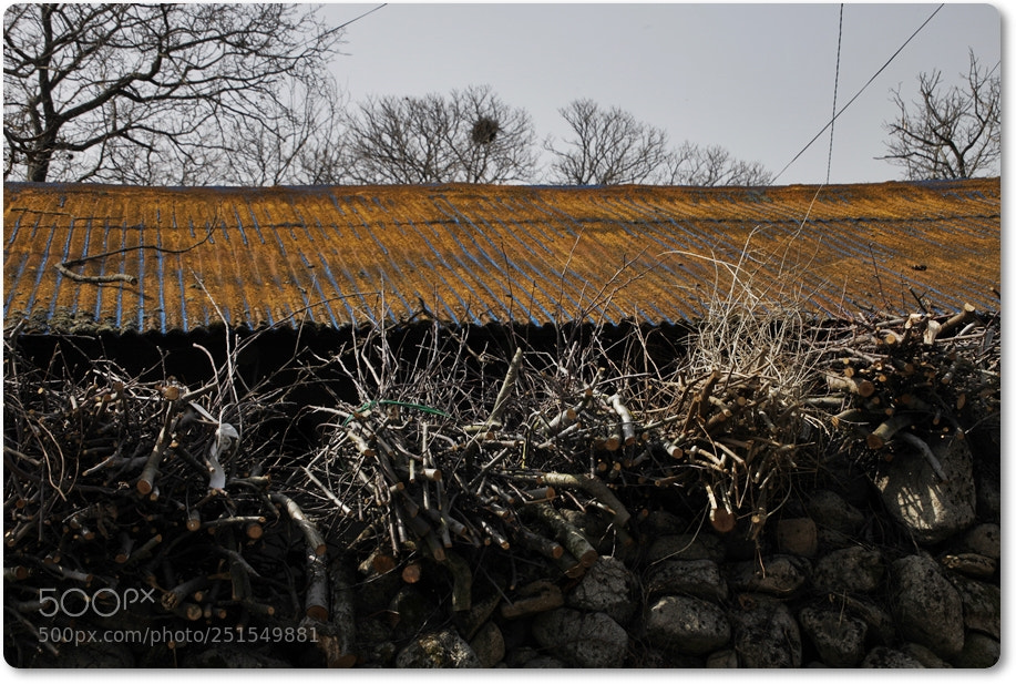 Canon EOS 5D Mark II sample photo. Old roof 한밤마을 photography