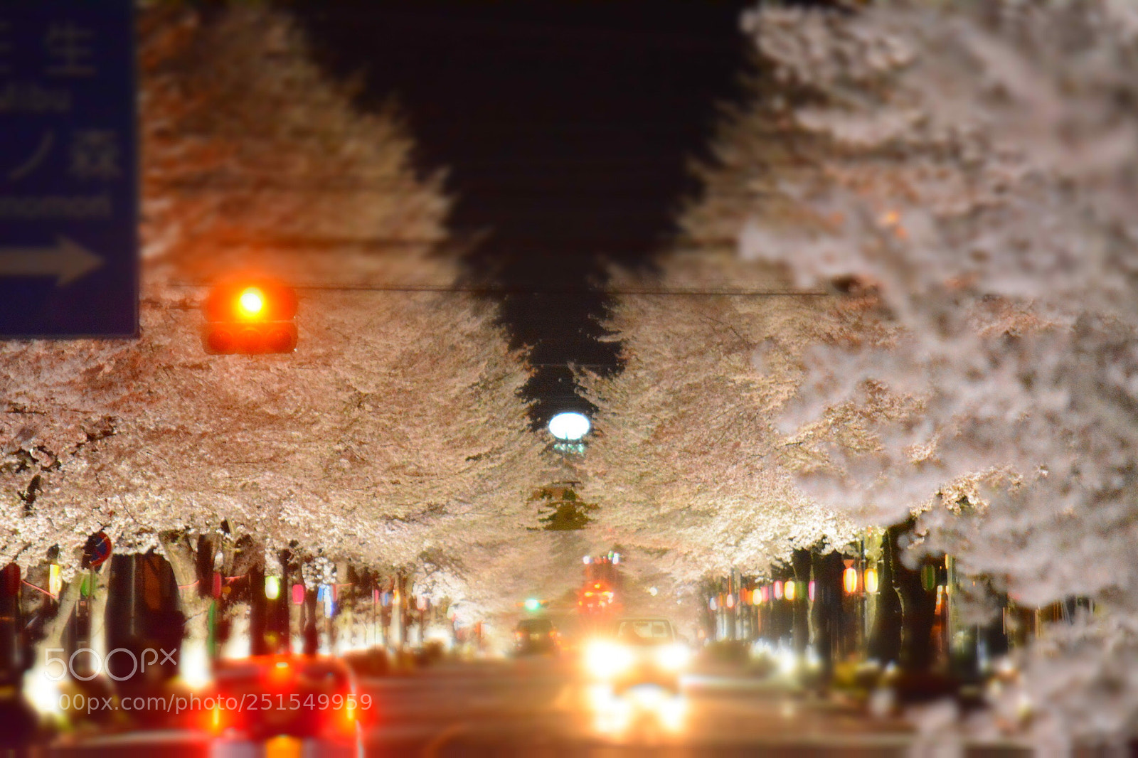 Nikon D5200 sample photo. Sakura photography