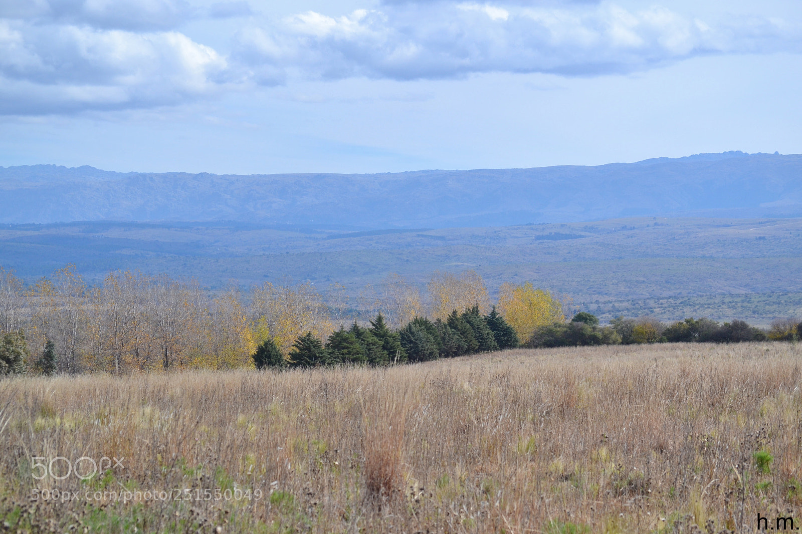 Nikon D3100 sample photo. Eeo photography