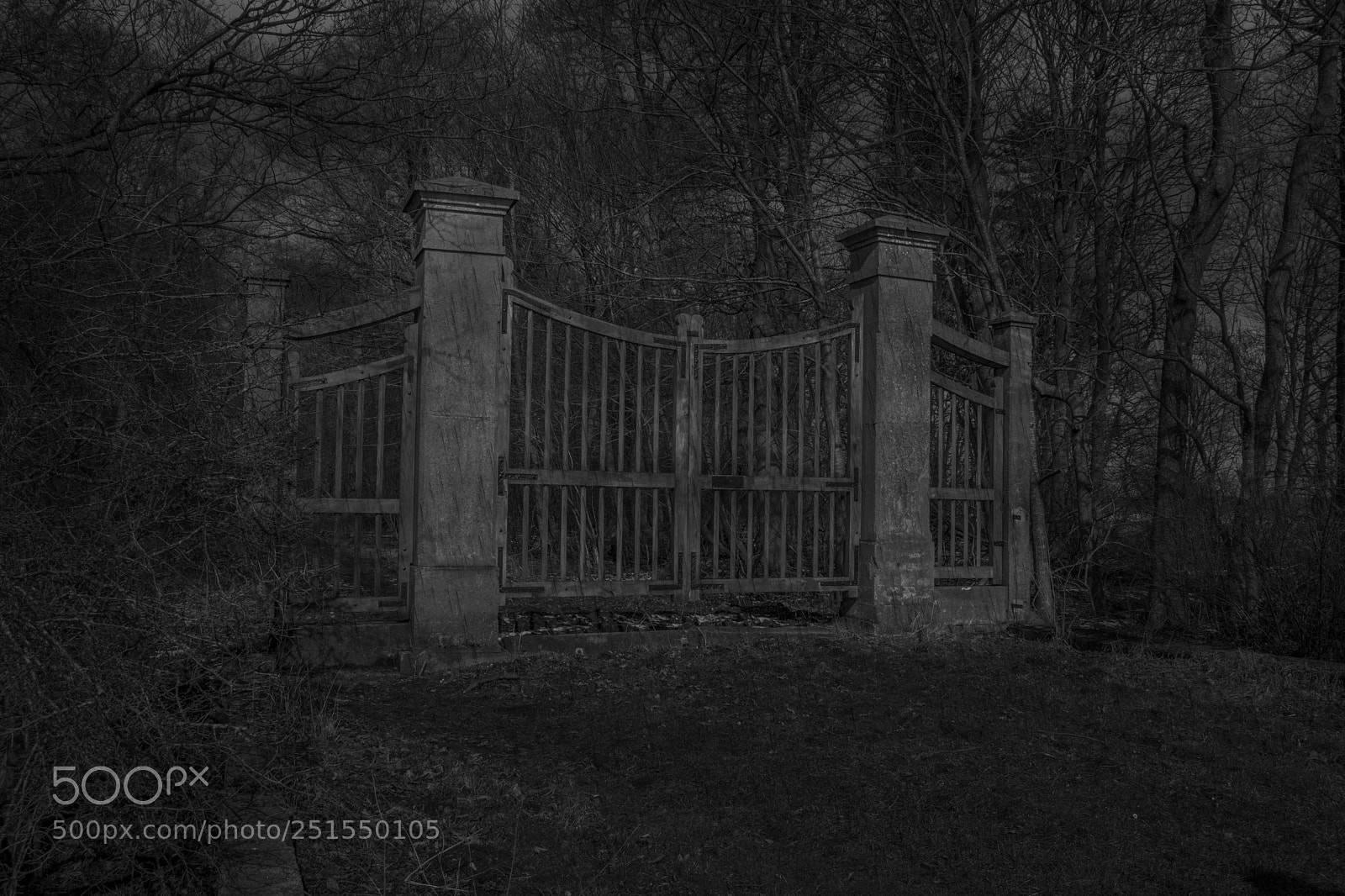 Nikon D5200 sample photo. Gate photography