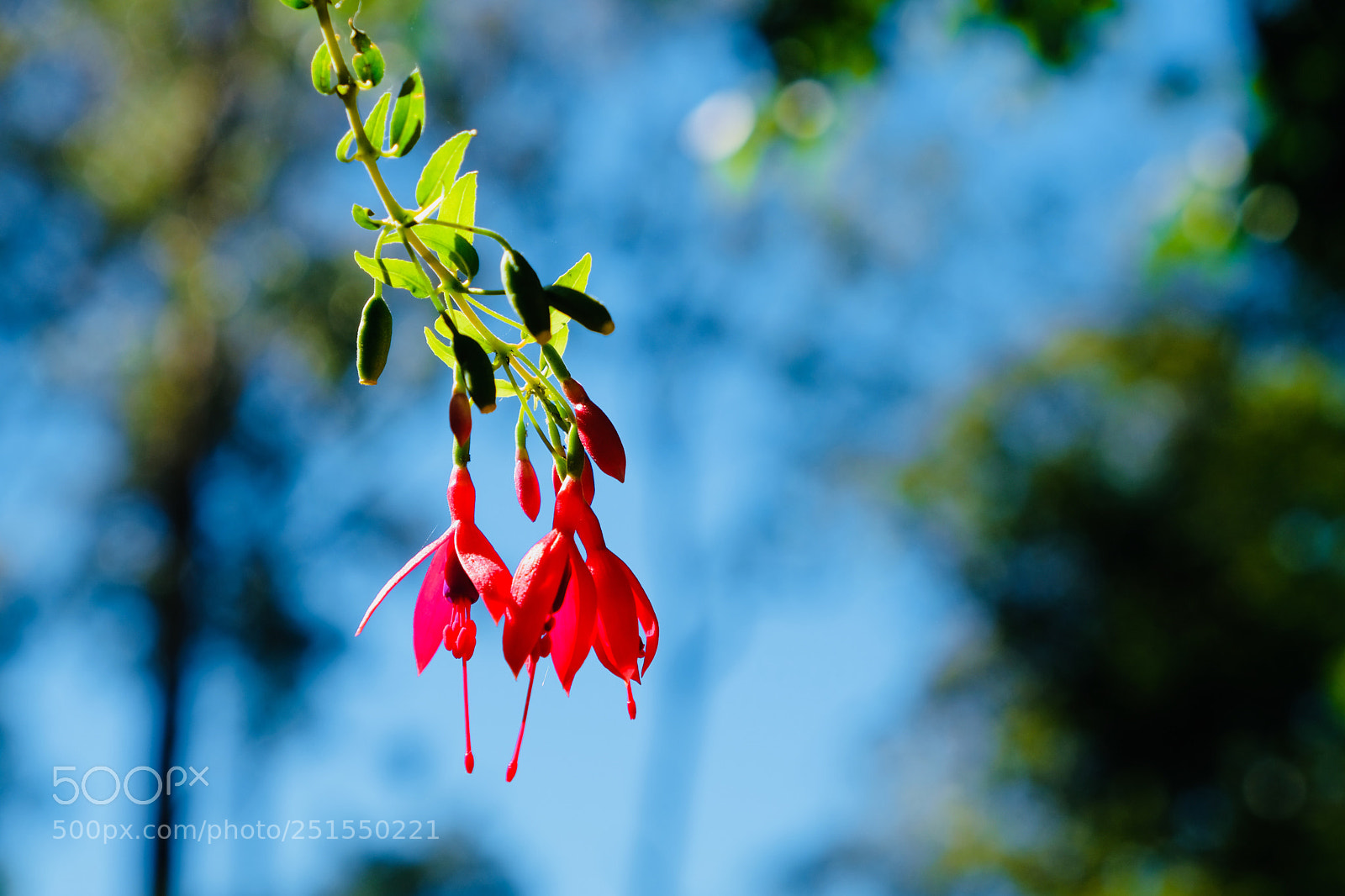 Fujifilm X-T20 sample photo. Autumn is coming photography
