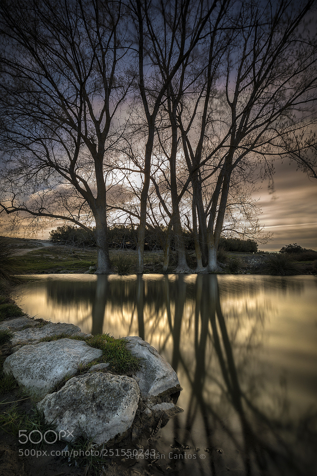Canon EOS 5D Mark IV sample photo. Reflejos photography