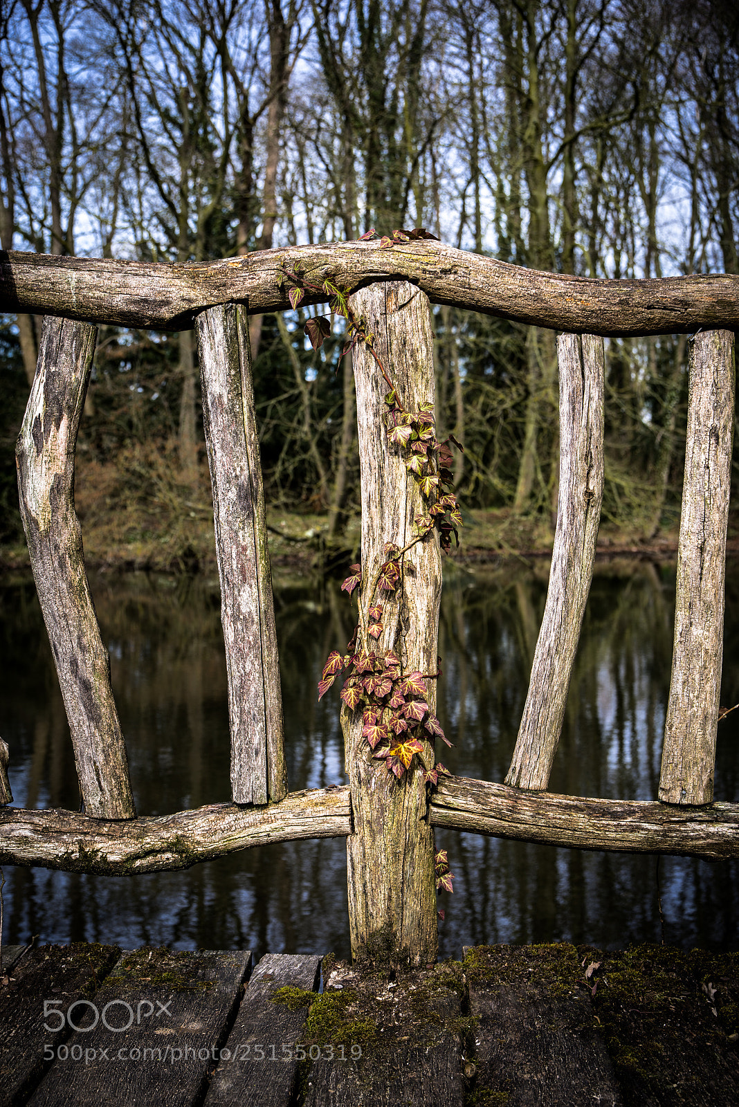 Pentax K-1 sample photo. Plant on bridge post photography