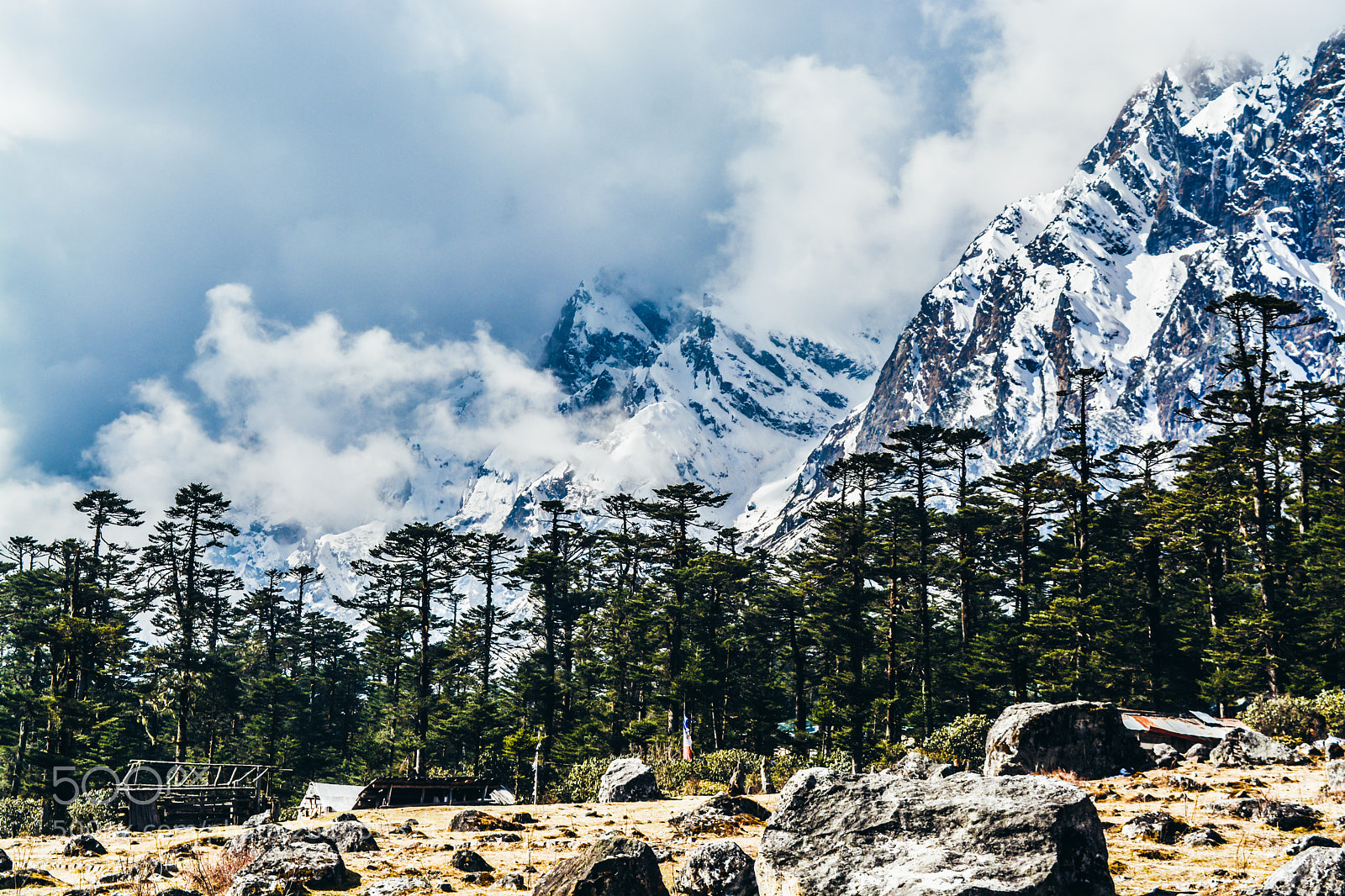 Nikon D5200 sample photo. Yumthang valley, india photography