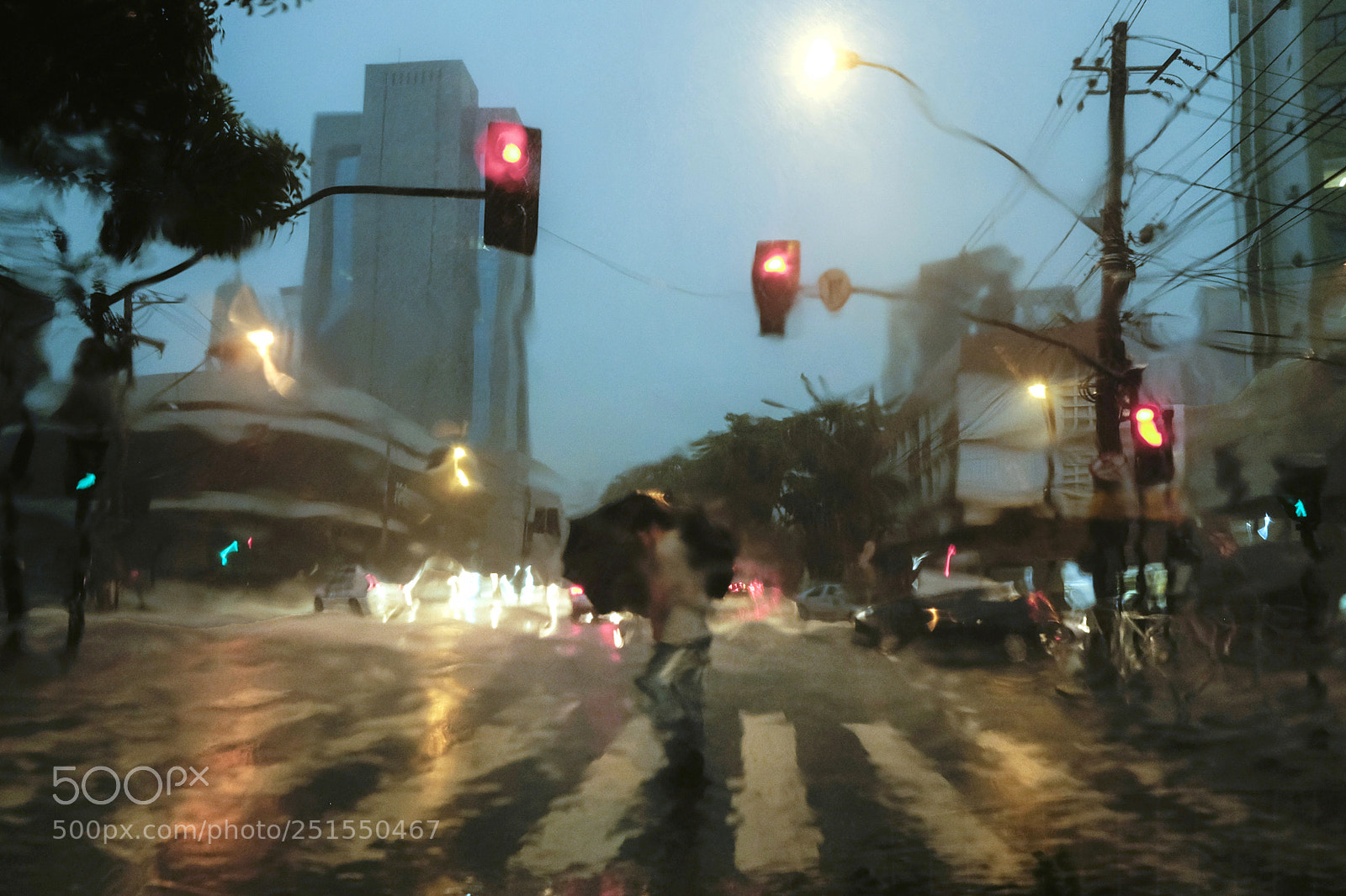 Fujifilm X-T1 sample photo. Untitled photography