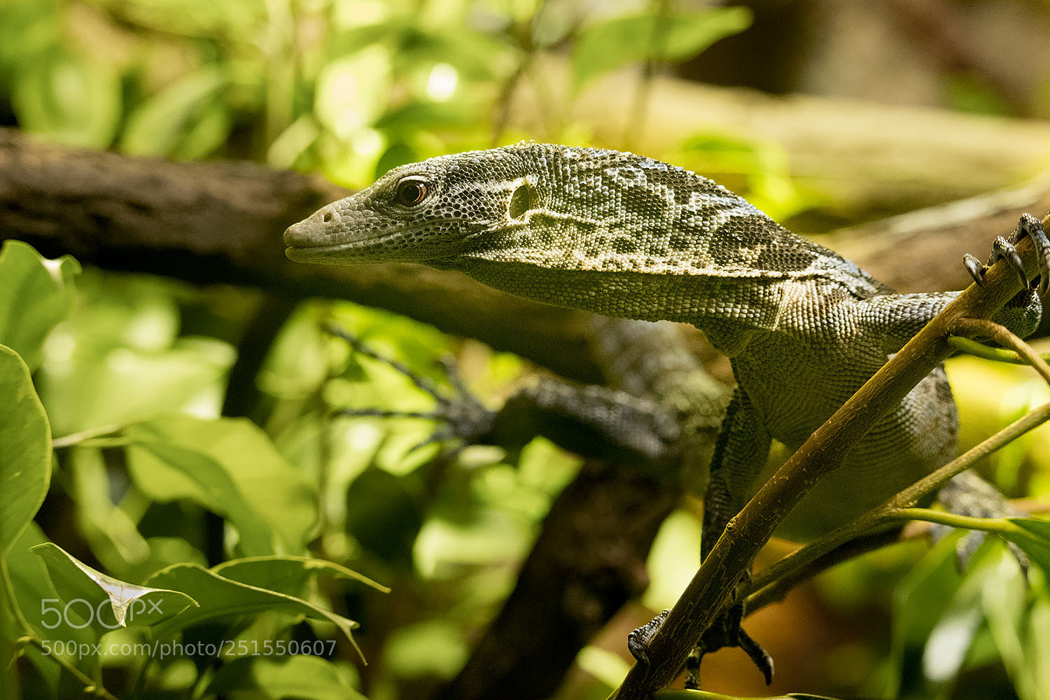 Canon EOS 77D (EOS 9000D / EOS 770D) sample photo. Untitled photography