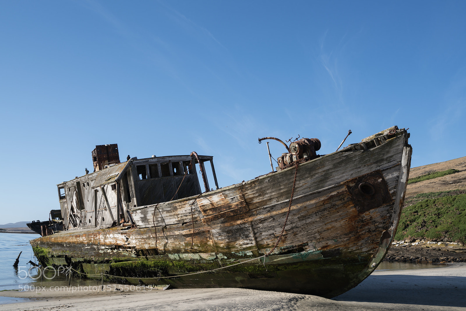 Sony a7R II sample photo. New island, falkland islands photography