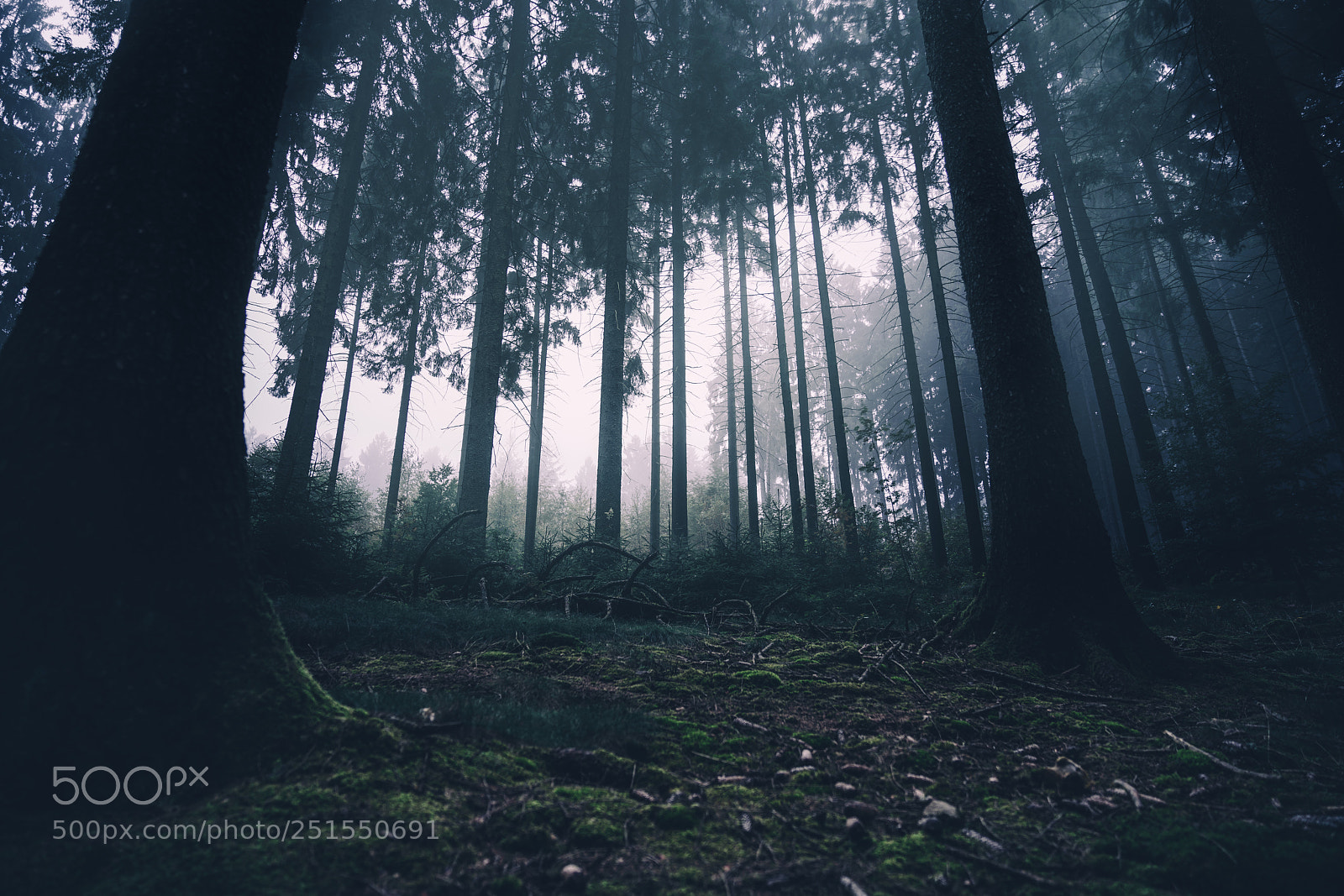 Sony a7R II sample photo. Http://weinheim.photos photography