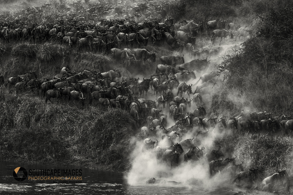 The Crossing by Mario Moreno on 500px.com