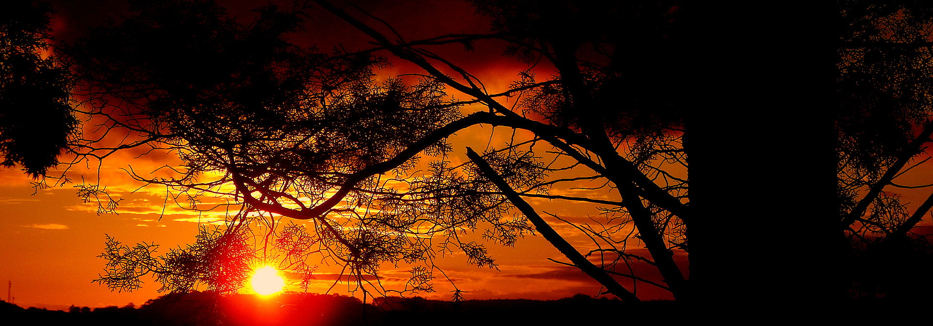 Fujifilm FinePix SL1000 sample photo. Magic hour .... photography