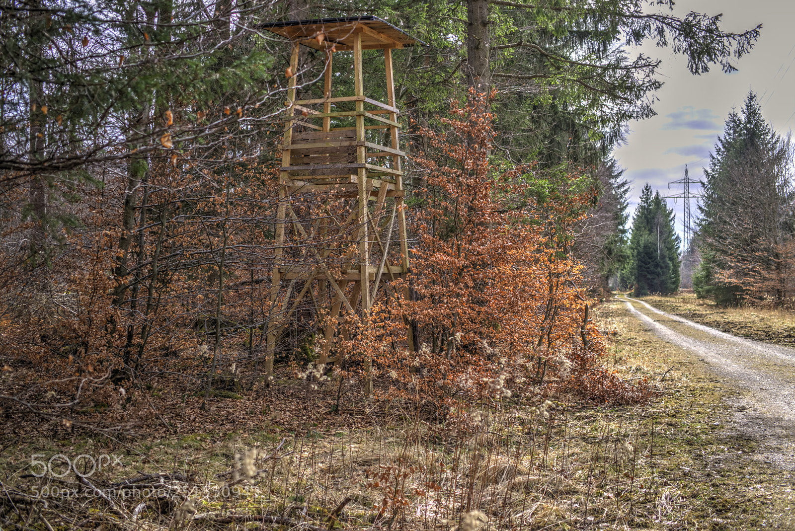 Sony a6000 sample photo. Mammi,mammi, da sitzen die photography