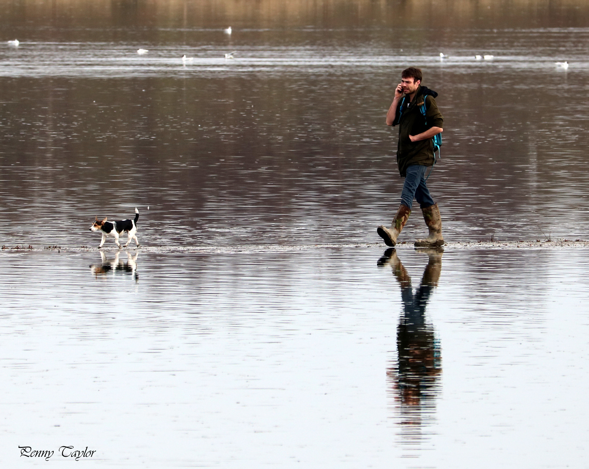 Canon EF 70-300 F4-5.6 IS II USM sample photo. Walking on water .... photography
