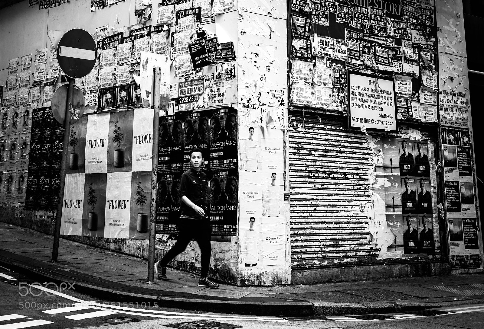 Nikon D850 sample photo. Untitled photography
