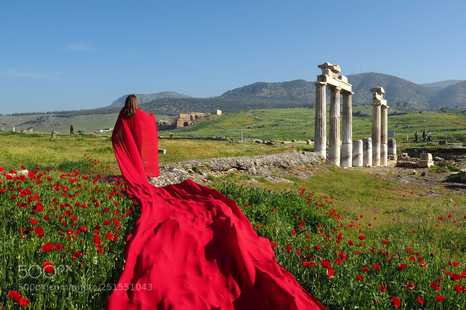 Olympus OM-D E-M1 Mark II sample photo. In red photography