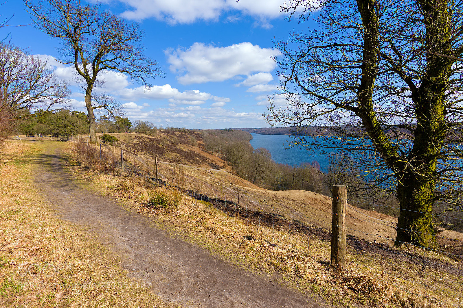 Nikon D7200 sample photo. Dollerup hills photography