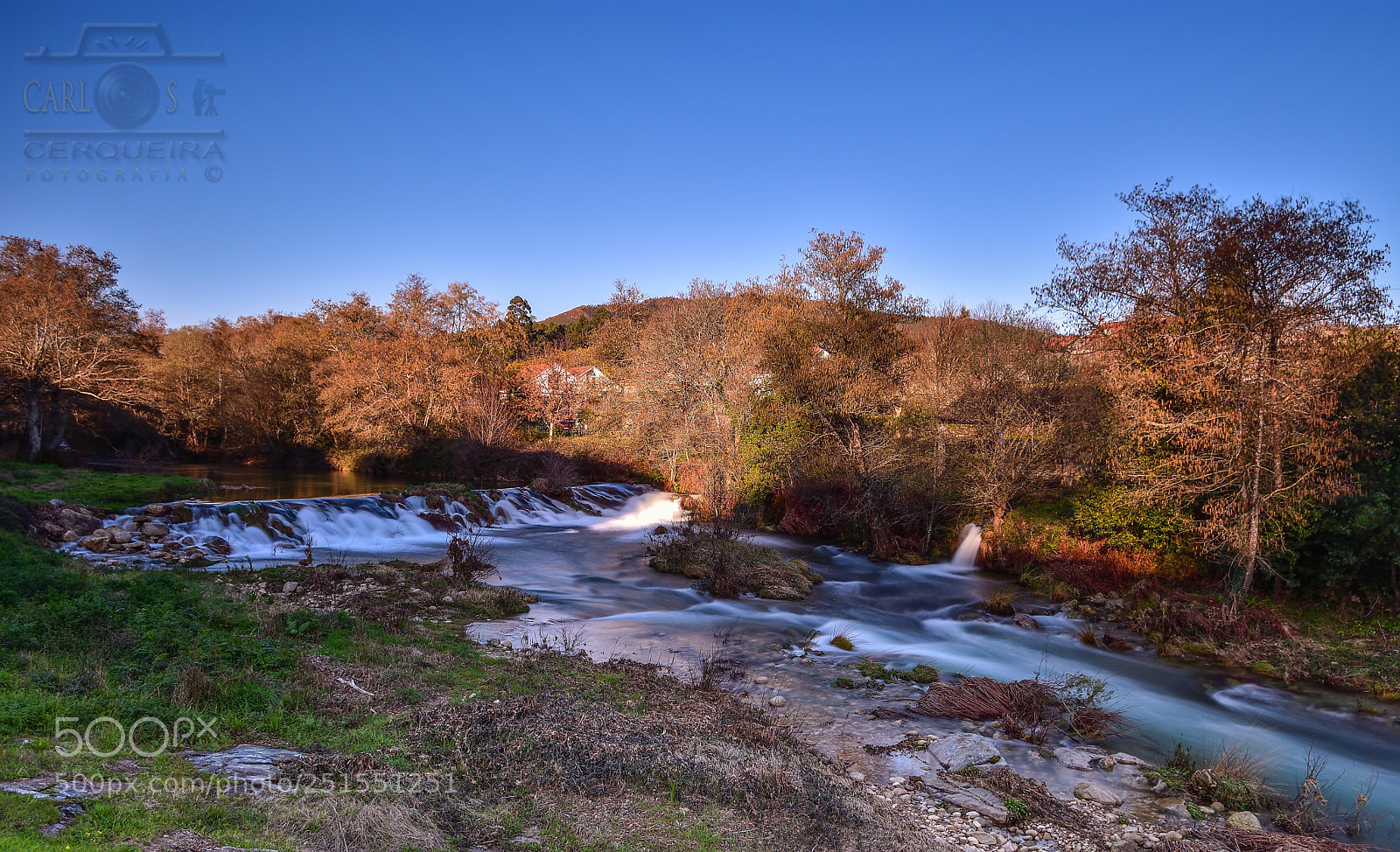 Nikon D7200 sample photo. O rosal photography