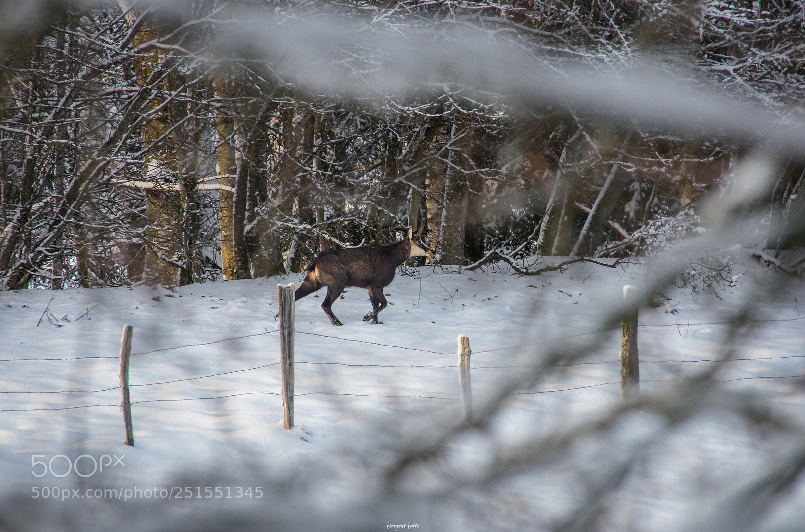 Pentax K-5 sample photo. La recherche d'un passage photography