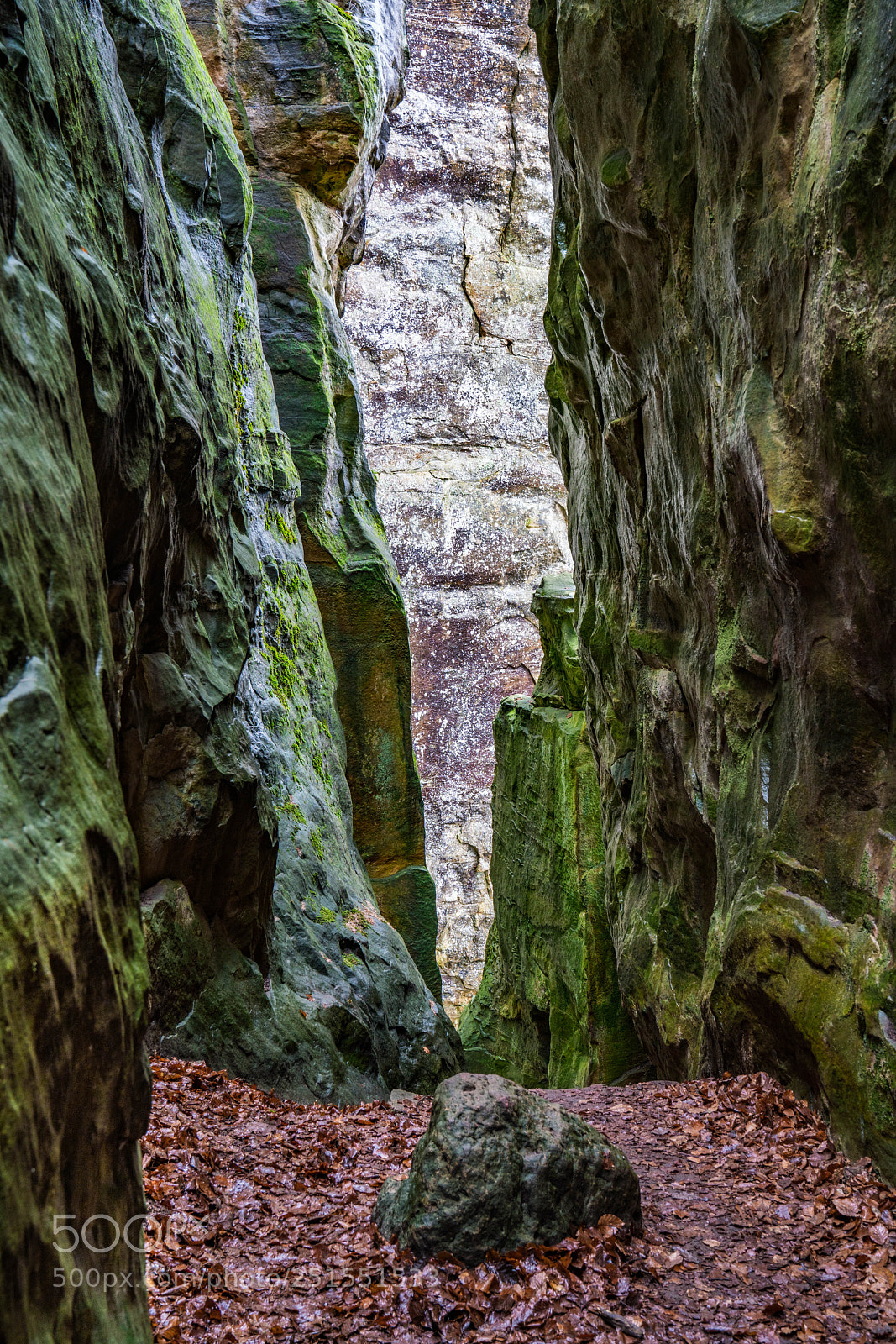 Sony a7R II sample photo. Week 14 - mullermaze photography