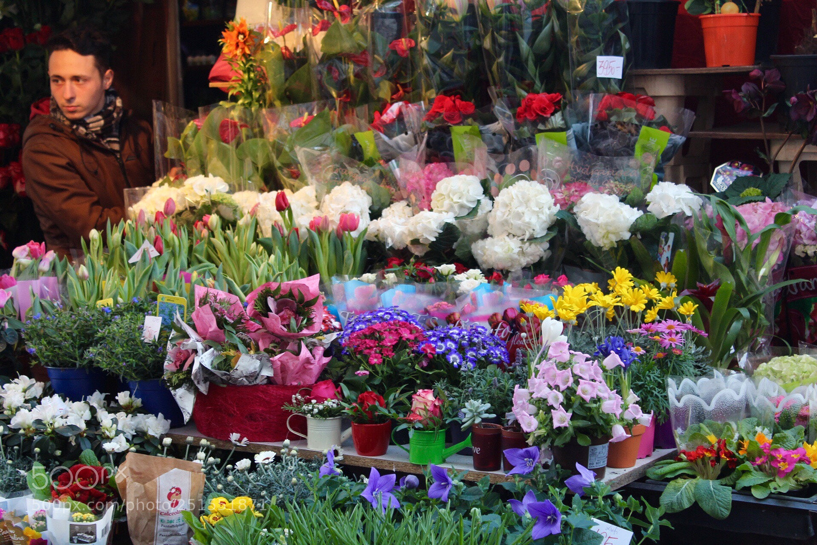 Canon EOS 1300D (EOS Rebel T6 / EOS Kiss X80) sample photo. Colourful flowers in budapest  photography