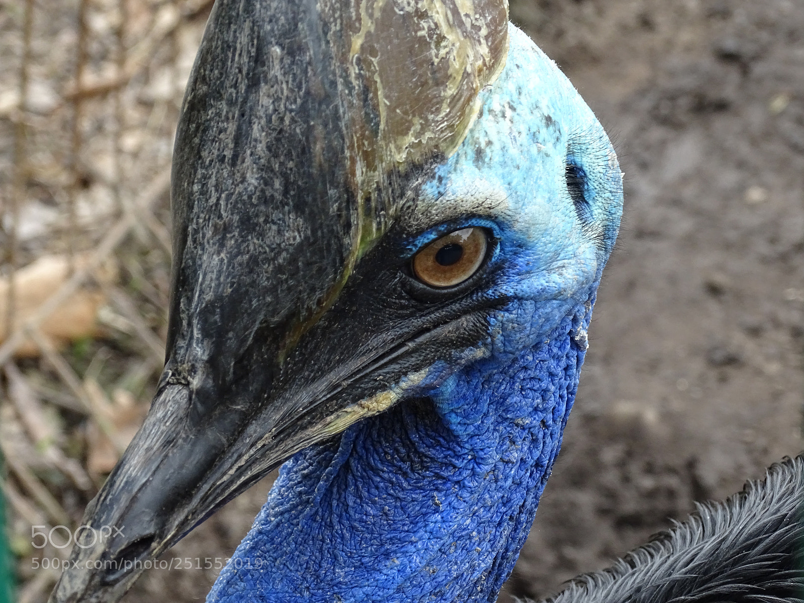 Sony Cyber-shot DSC-HX400V sample photo. Eye in eye photography