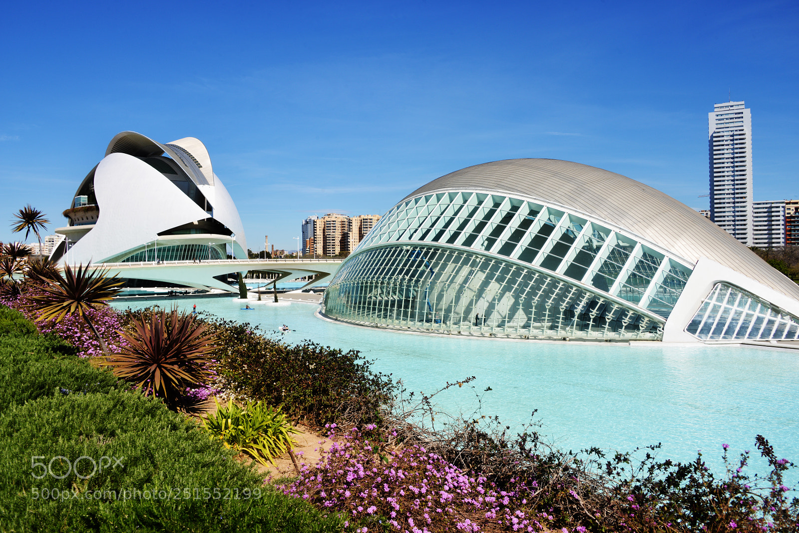 Nikon D800 sample photo. City of arts and photography