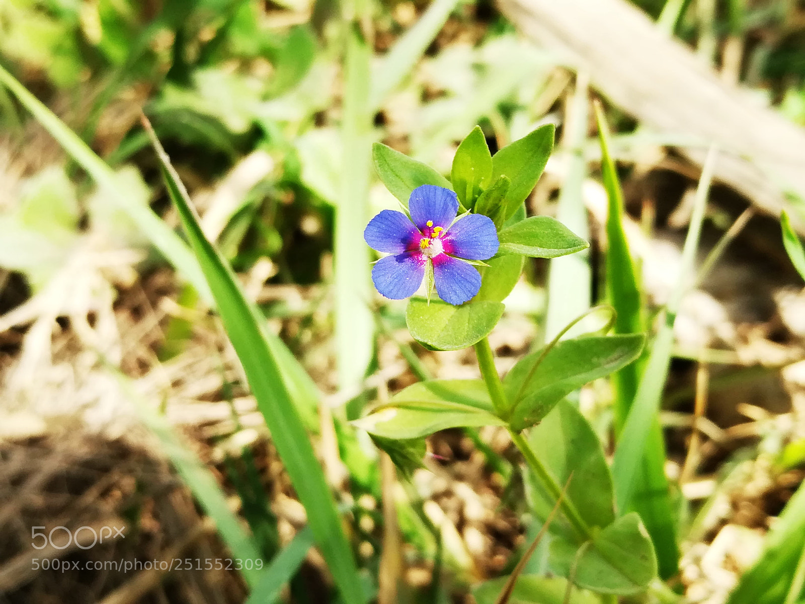 HUAWEI honor 6x sample photo. Untitled photography