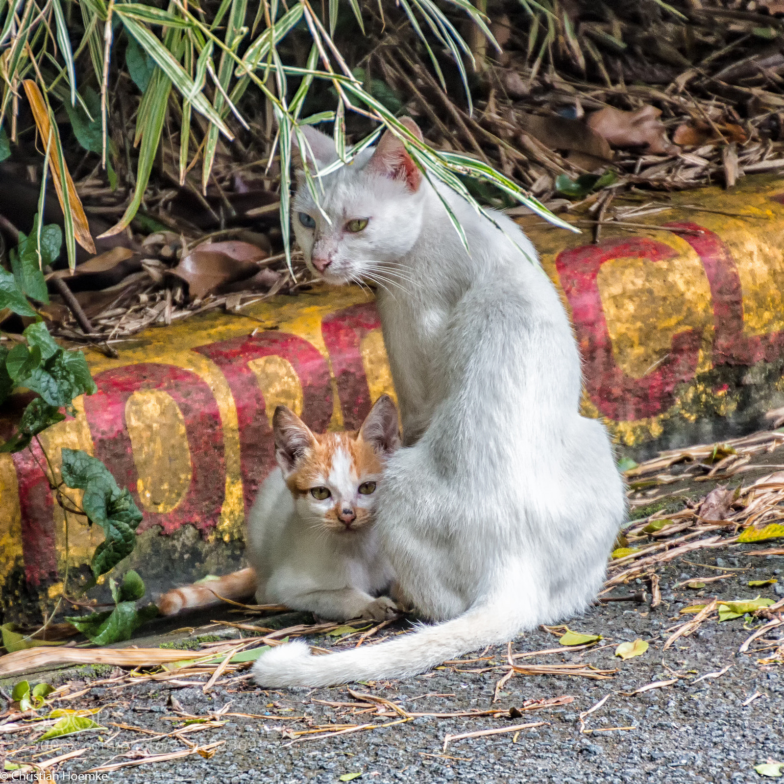 Canon EOS 70D sample photo. Mother and child photography