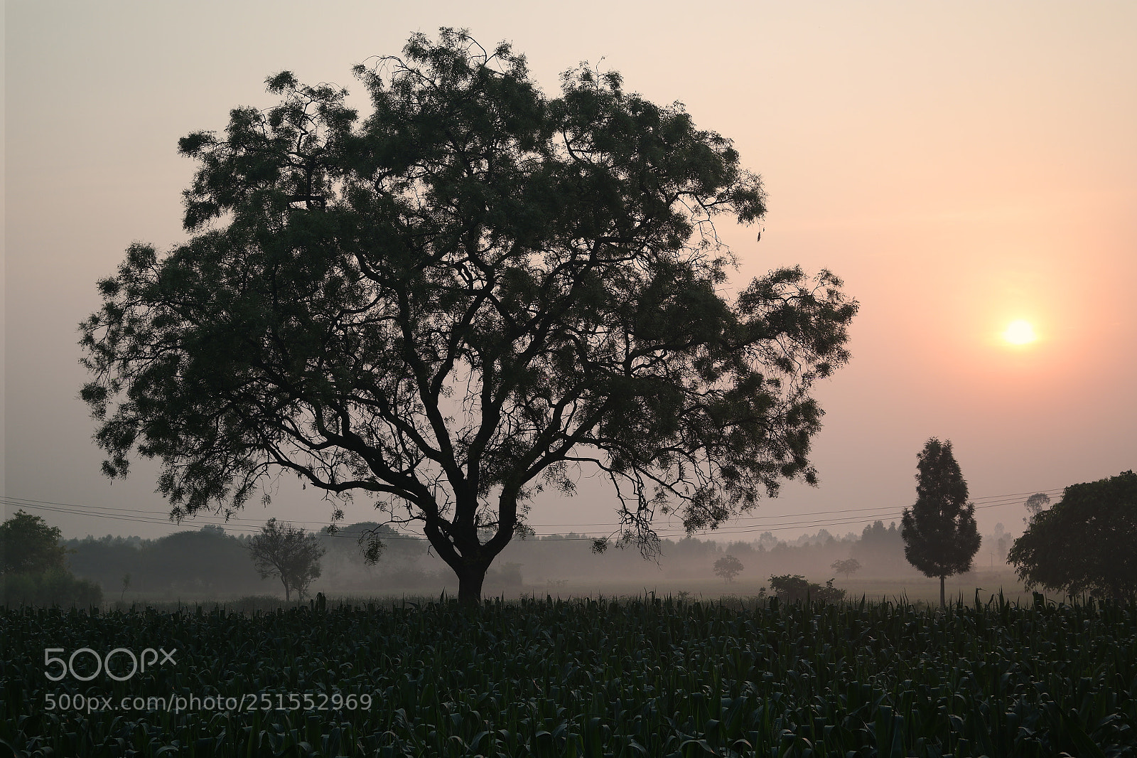 Samsung NX2000 sample photo. Morning ride through bangalore photography
