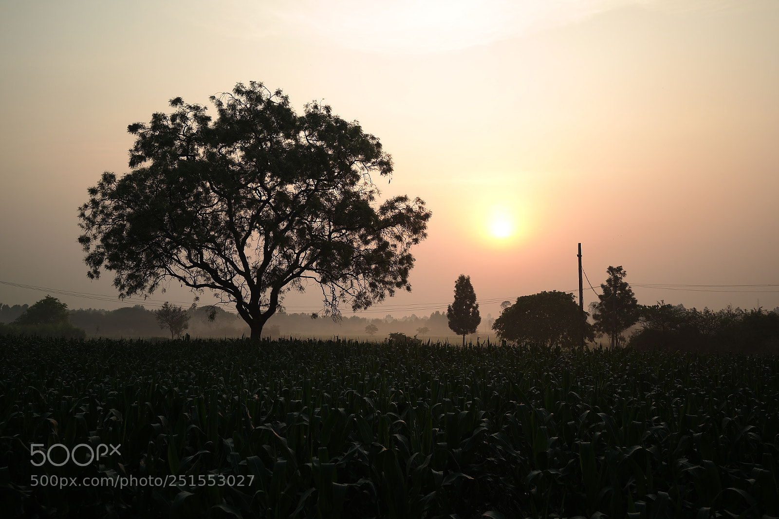 Samsung NX2000 sample photo. Morning ride through bangalore photography