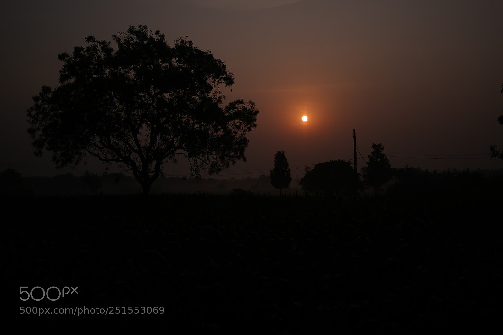 Samsung NX2000 sample photo. Morning ride through bangalore photography
