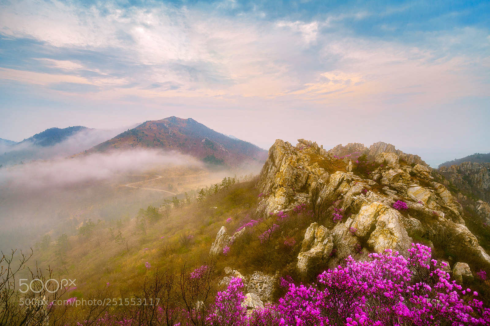 Sony a7R II sample photo. 주작산 photography