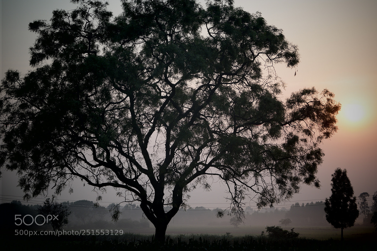 Samsung NX2000 sample photo. Morning ride through bangalore photography
