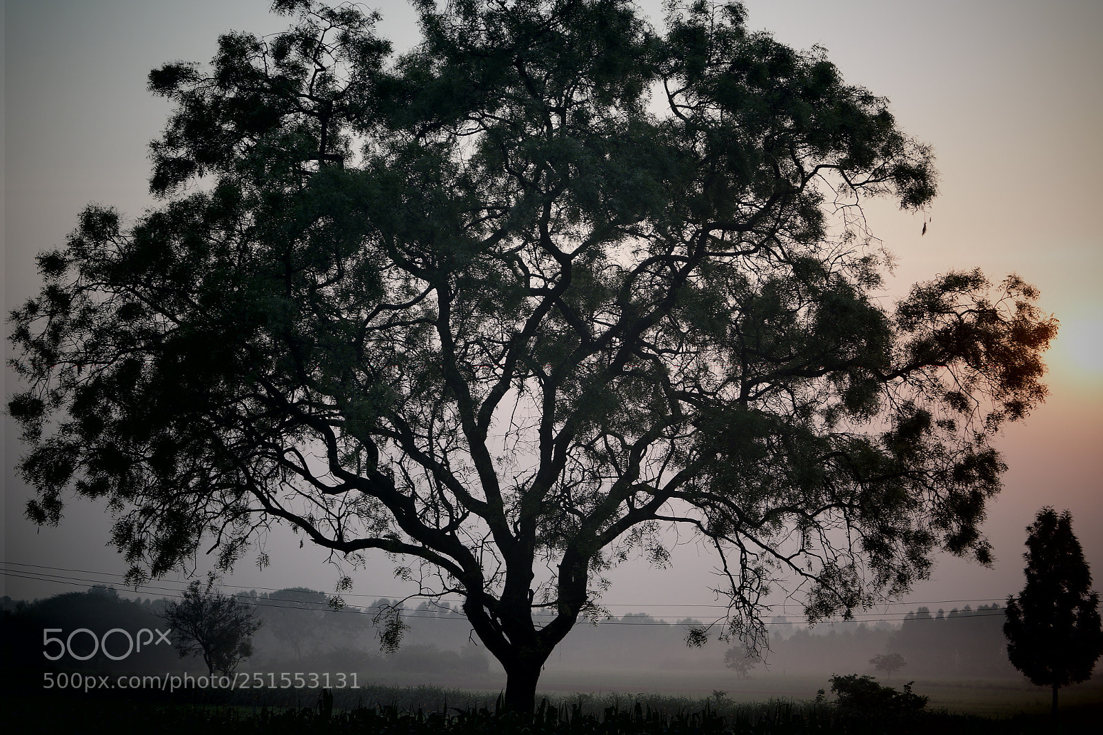 Samsung NX2000 sample photo. Morning ride through bangalore photography
