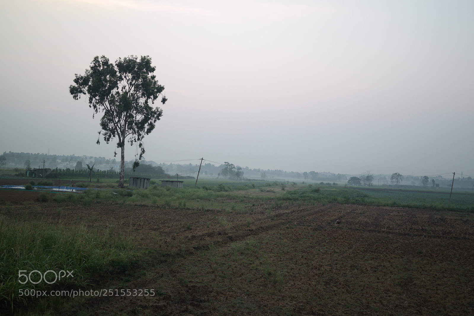 Samsung NX2000 sample photo. Morning ride through bangalore photography